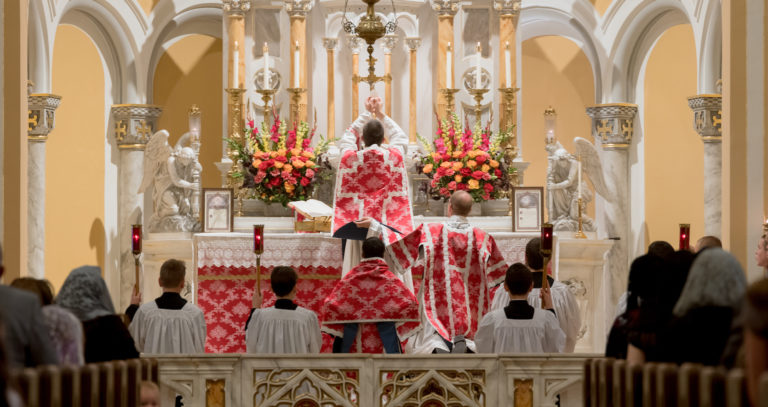 TLM
