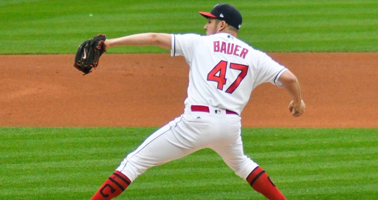 Bauer