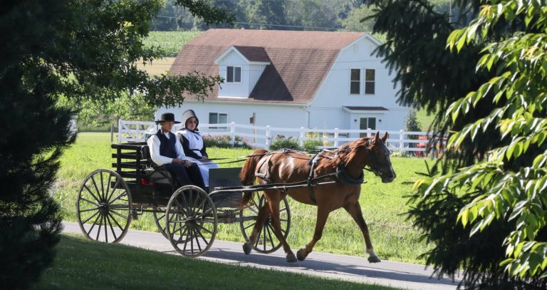Amish