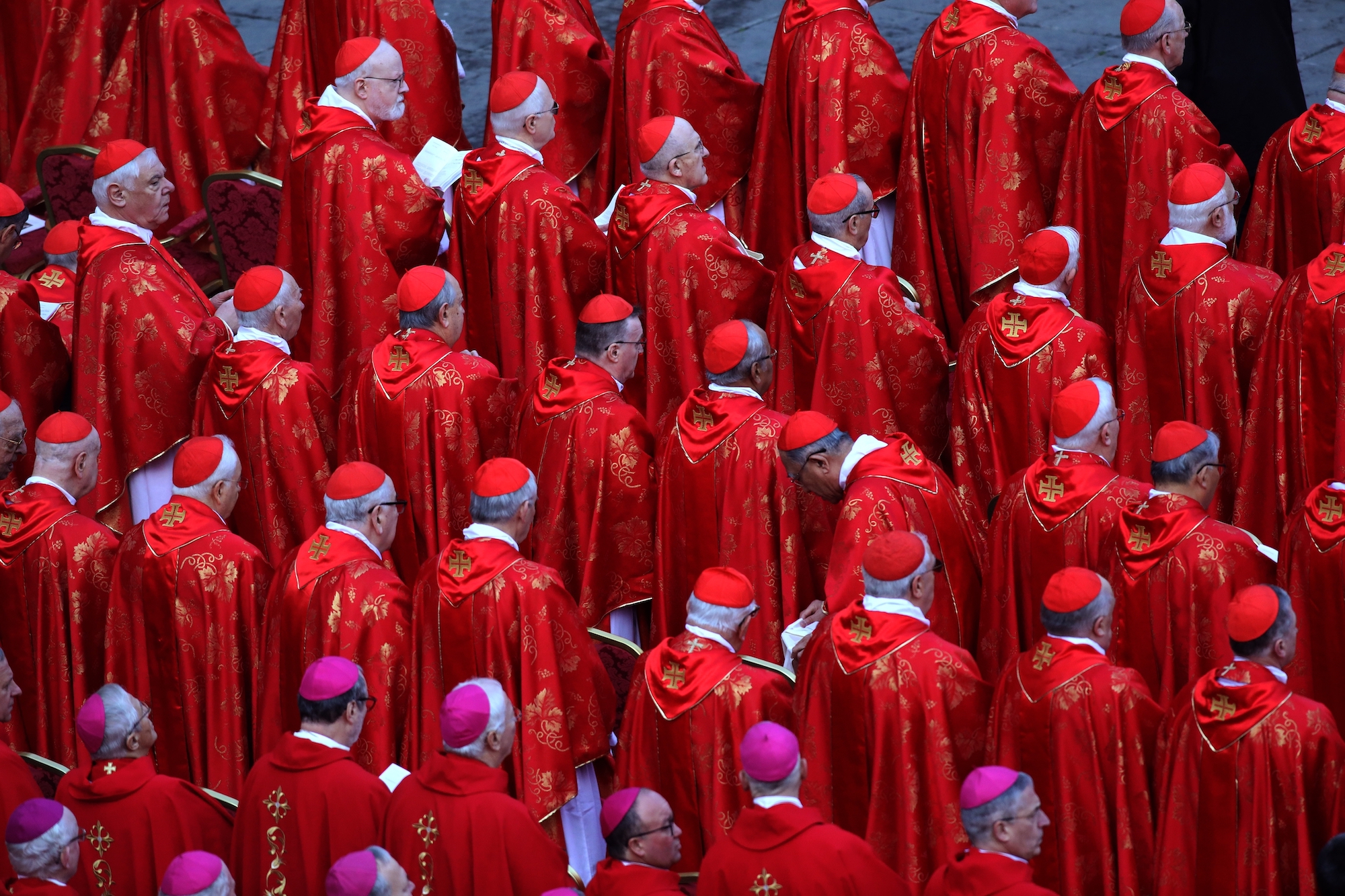 Filial Appeal to All Cardinals and Bishops of the Catholic Church