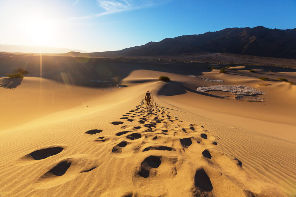 The Myth of “Vibes” Conversions: Why Gen Z Is Actually Starving for the Hard Pills of Dogma