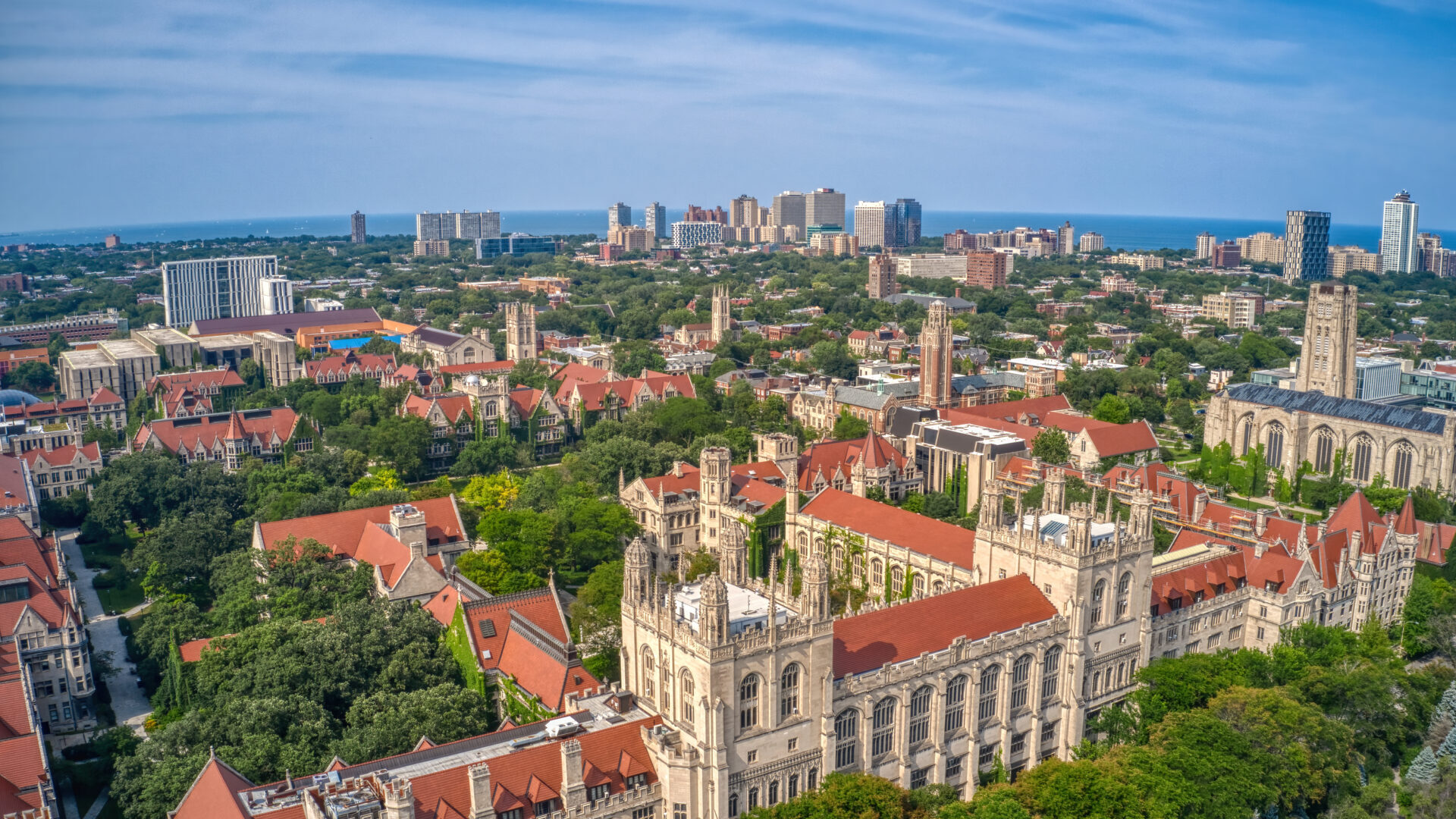 Caught in Their Own Web: How Universities Became Victims of the Epstein Panic They Helped Create