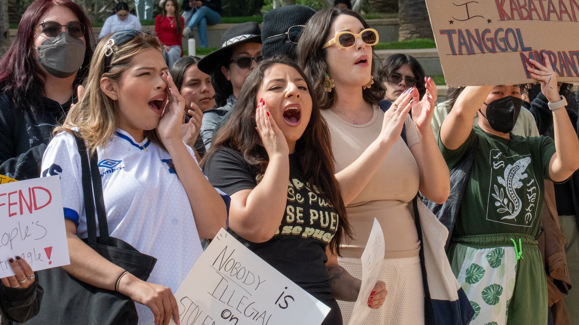 And in This Corner, No One