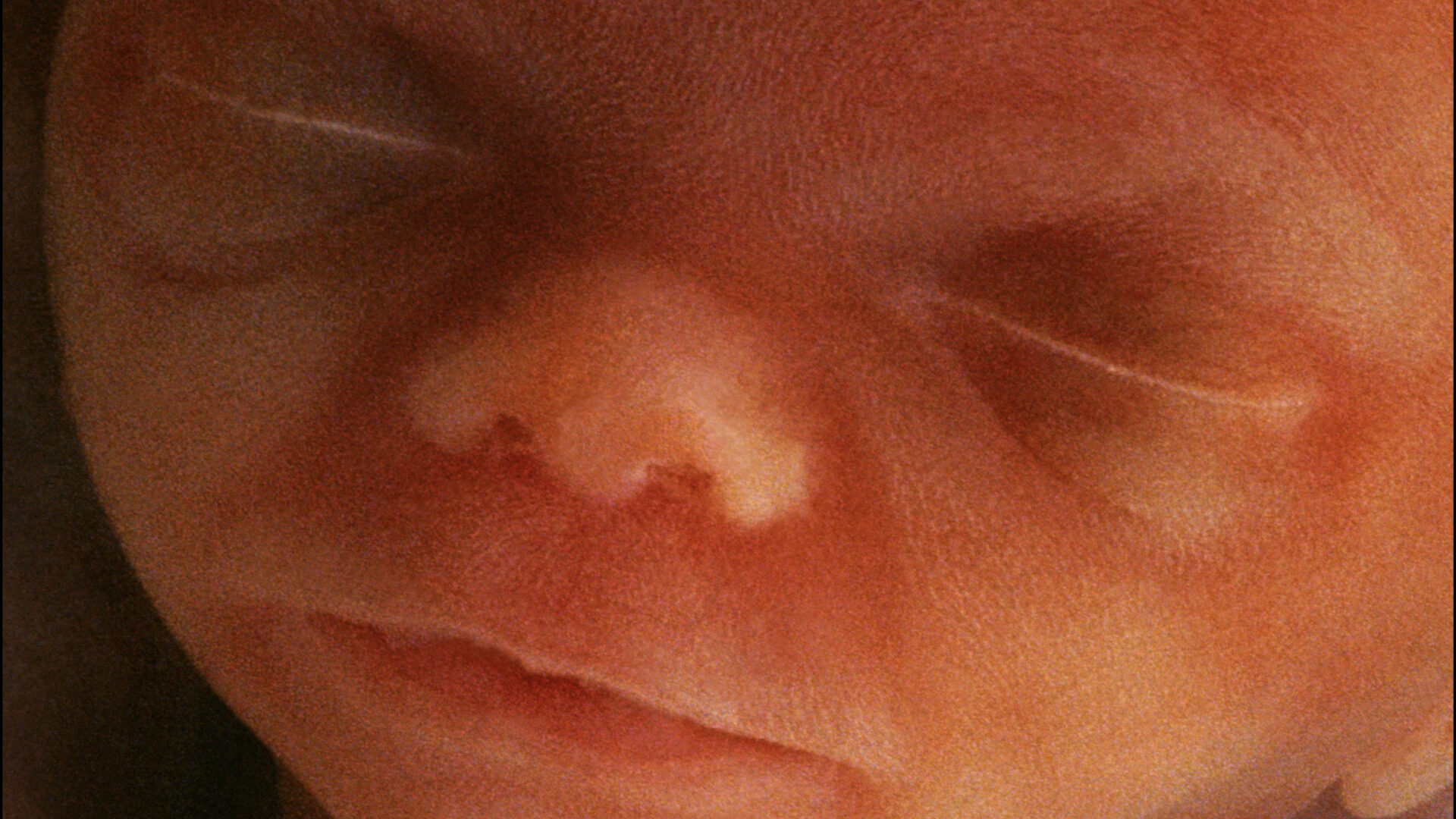 Dear Mr. Jefferson: A Letter From the Smallest American
