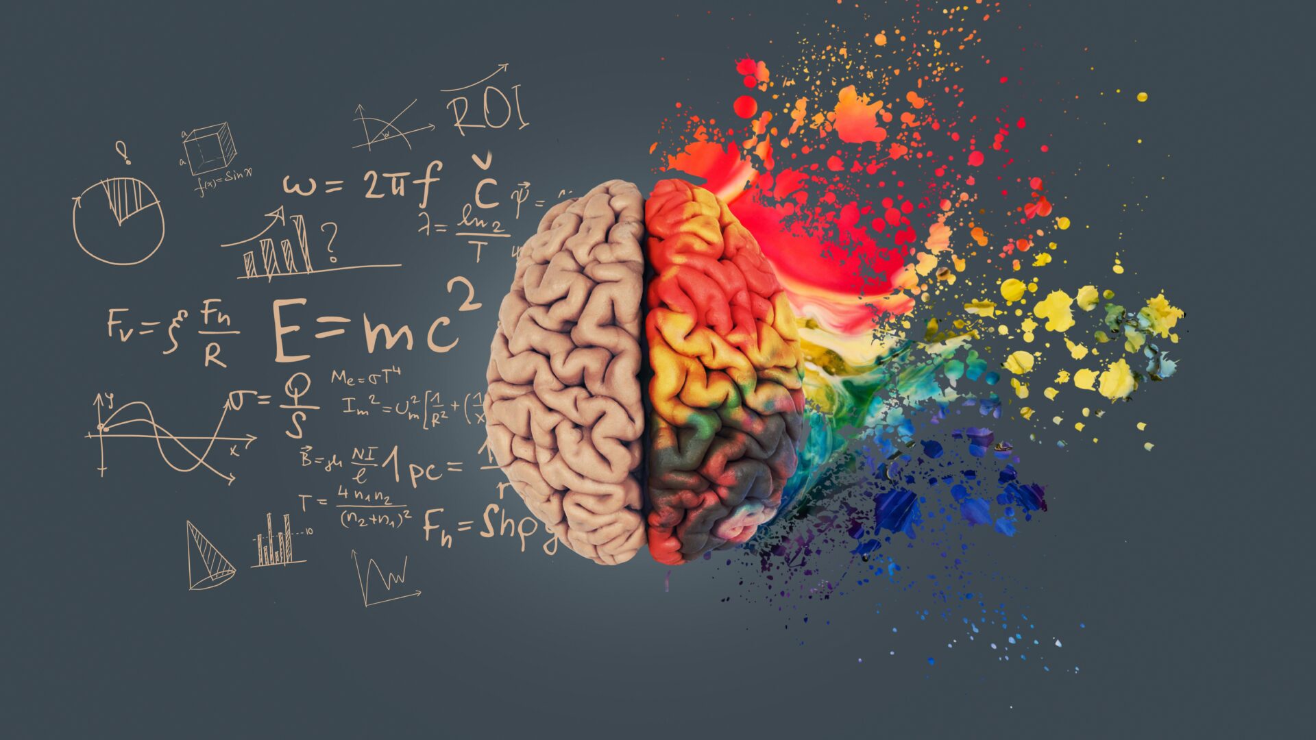 Fight for the Right (Brained)