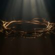 Crown of thorns lit by a single beam of light
